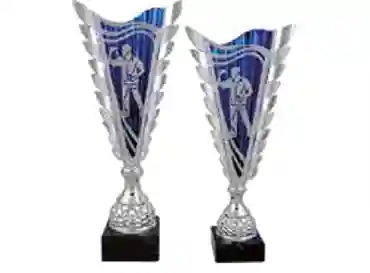 Darts Trophies